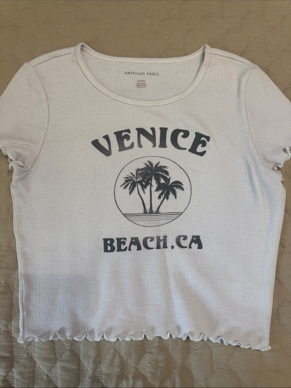 American Eagle Outfitters White Graphic Venice Beach Crop Top